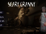 Granny Horror