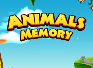 Super Animal Memory